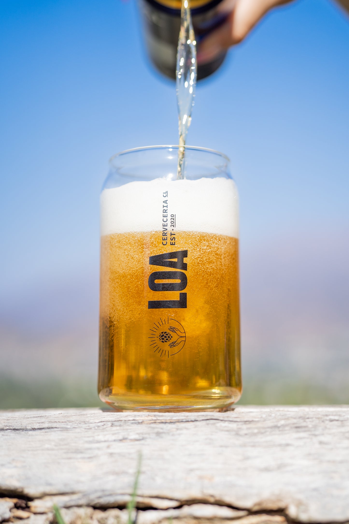 Vaso Lata