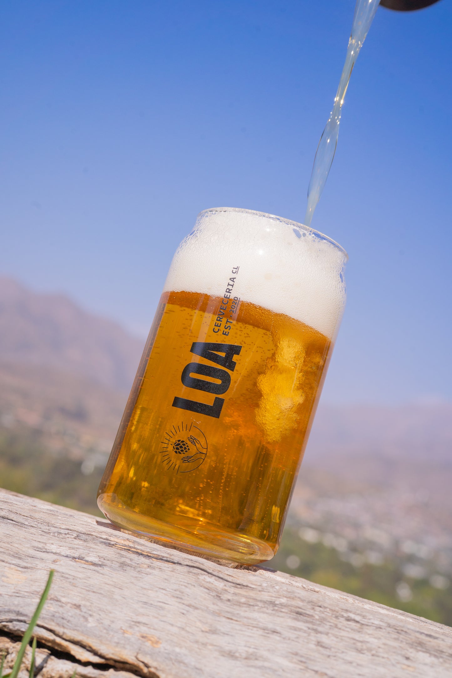 Vaso Lata