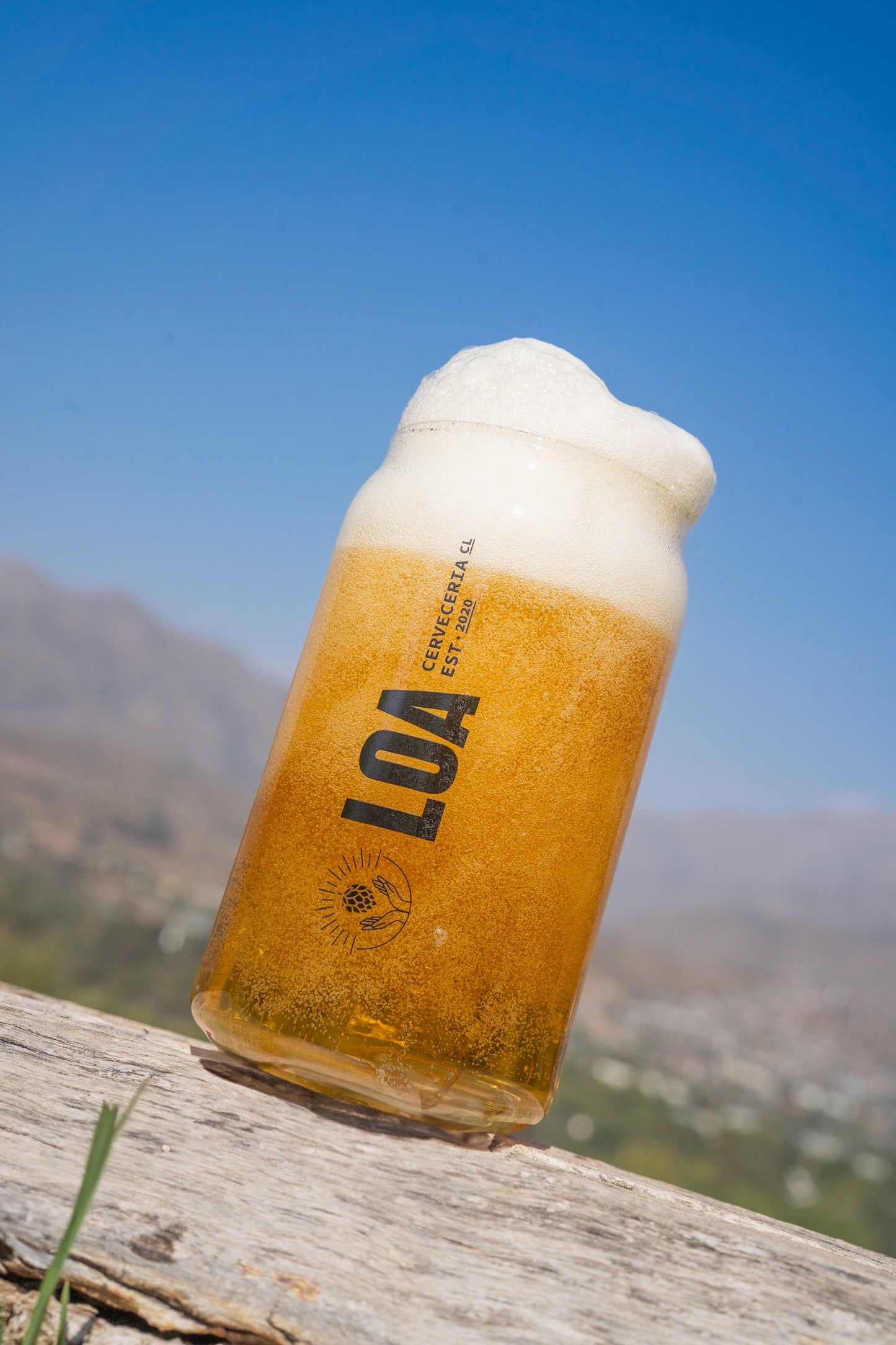 Vaso Lata