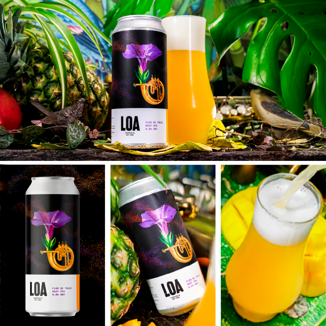 CERVEZA FLOR DE TRUCO